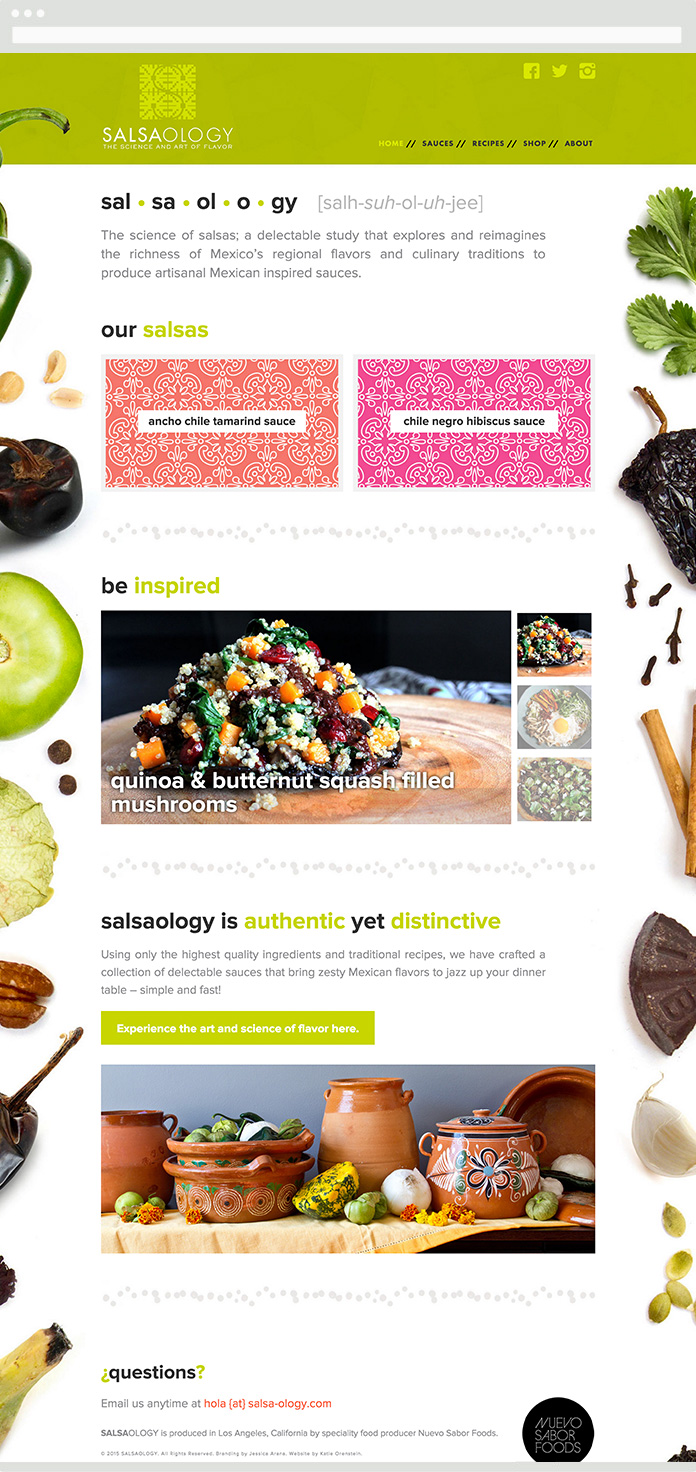 Image of the Salsaology Homepage